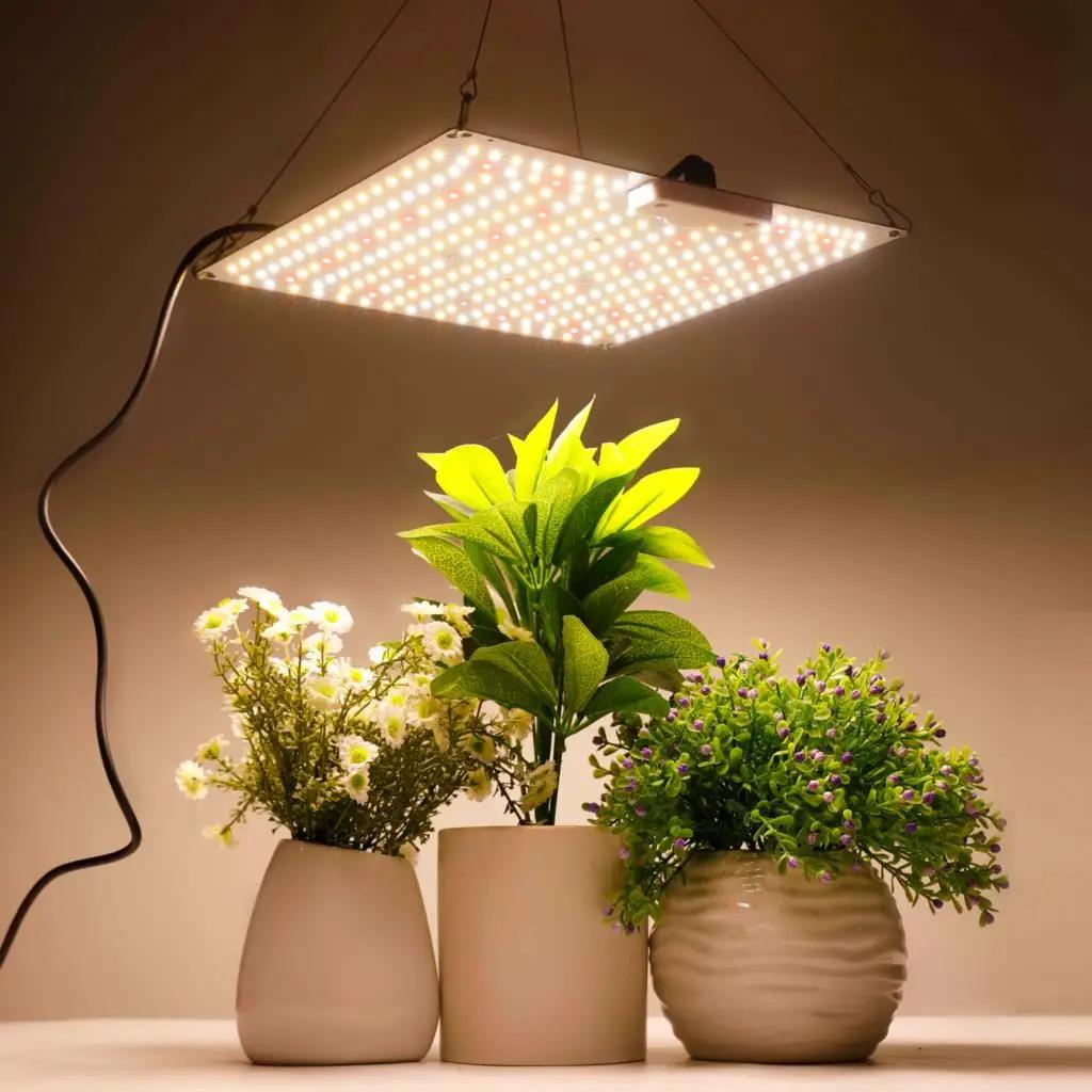 LED 성장 조명 삼성 다이오드 풀 스펙트럼 무소음 양자 보드, 온실 텐트 수경 식물에 사용, 1000W, 800W, 500W